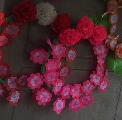 Coronas de distintos tamaños - Imagen 3