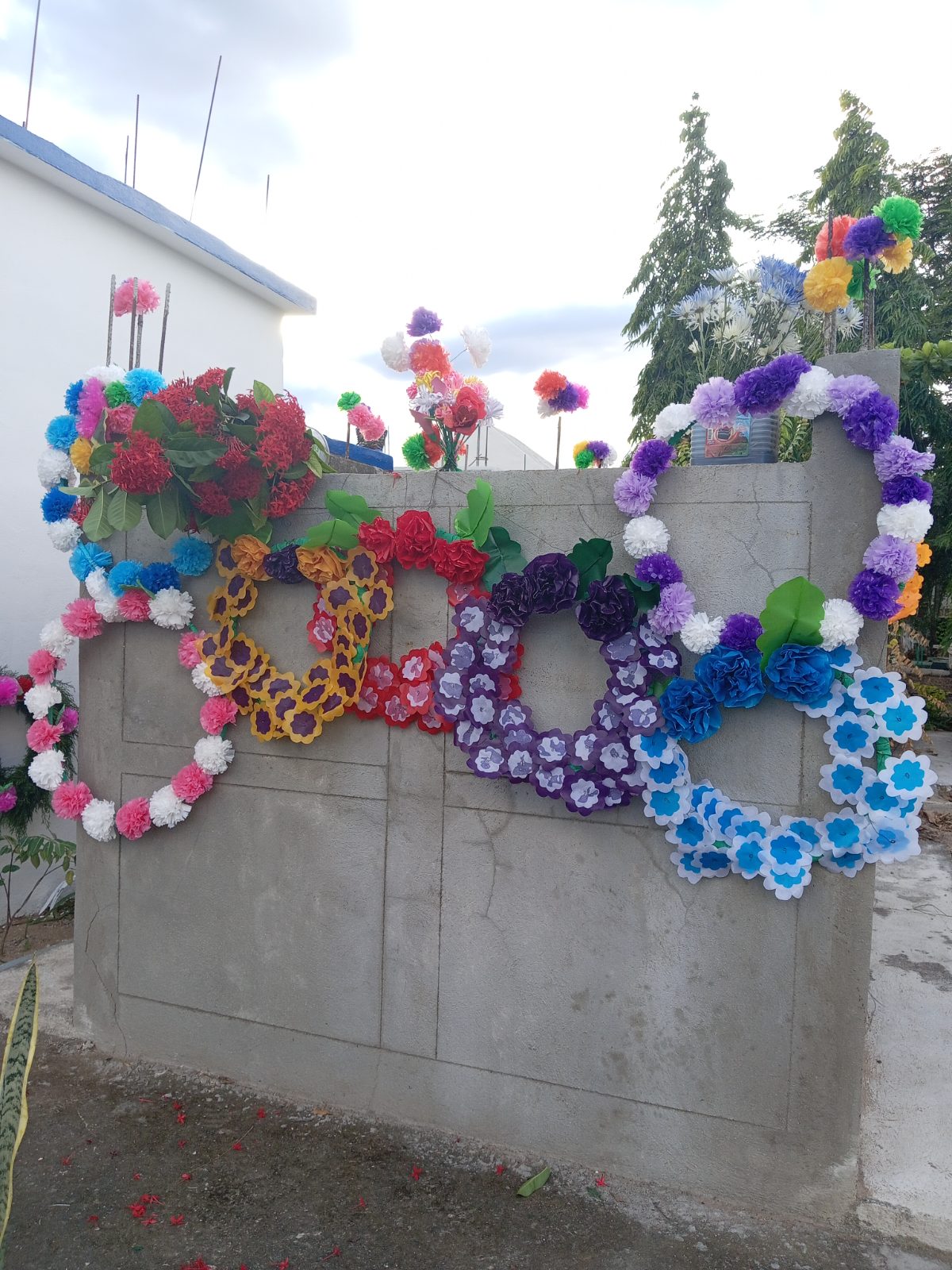 Coronas de distintos tamaños - Imagen 4